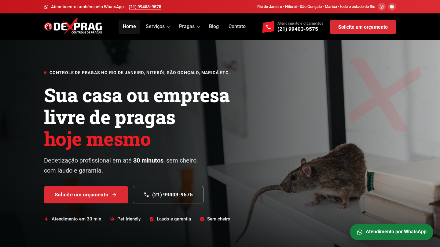Página inicial do site da Dexprag com chamada para orçamento e imagem de dedetização.